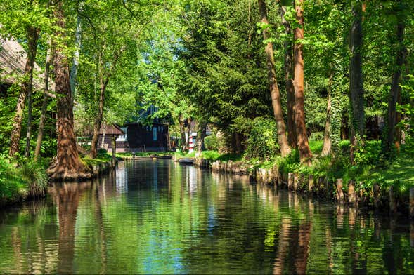 Excursão à floresta do Spree